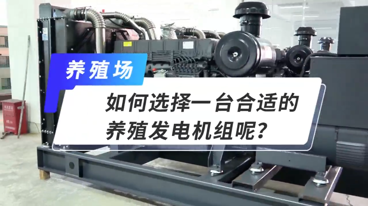 「視頻」如何選擇一臺合適的養殖發電機組呢？